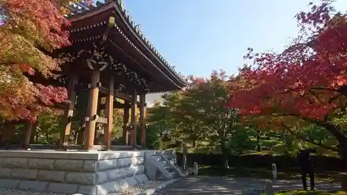 根来寺 智積院の御朱印