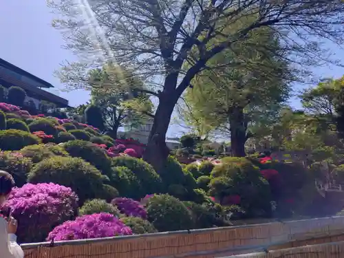 根津神社(東京都)