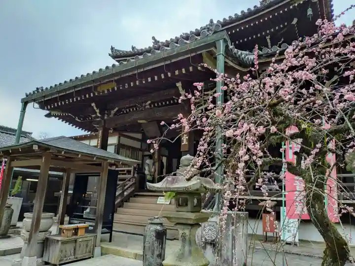 今熊野観音寺(京都府)