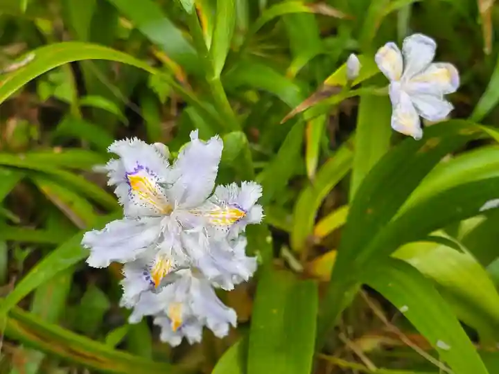 丹生官省符神社(和歌山県)