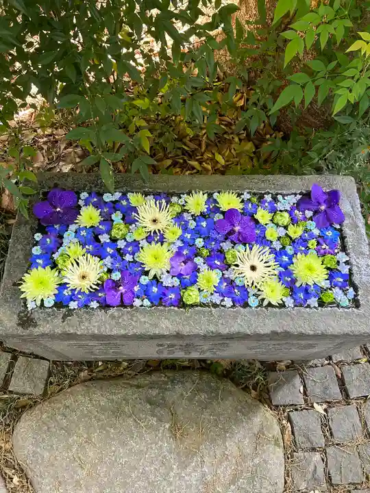 行田八幡神社の手水舎