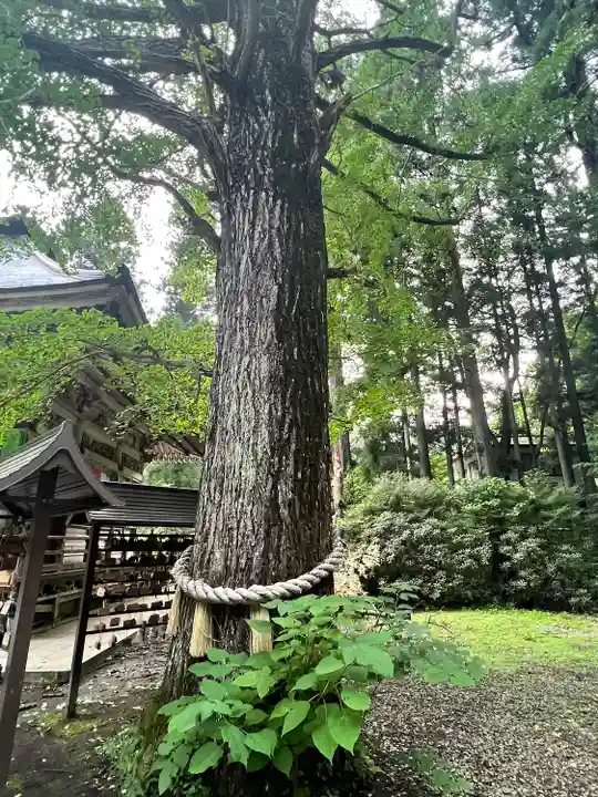 西光寺(宮城県)