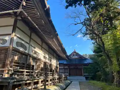 中尊寺(岩手県)