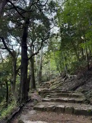 神倉神社（熊野速玉大社摂社）の{uncategorized: "未分類", other: "その他", undefined: "問題あり", building: "その他建物", grave: "お墓", sacred_gate: "鳥居", guardian: "狛犬", statue: "像", buddha: "仏像", history: "歴史", nature: "自然", garden: "庭園", animal: "動物", pagoda: "塔", temizu: "手水舎", mountain_gate: "山門・神門", sanctuary: "本殿・本堂", subordinate: "末社・摂社", art: "芸術", scenery: "景色", jizo: "地蔵", ema: "絵馬", goshuin: "御朱印", omikuji: "おみくじ", items: "授与品その他", amulet: "お守り", goshuincho: "御朱印帳", eats: "食事", festival: "お祭り", votive_dance: "神楽", shichigosan: "七五三参", wedding: "結婚式", experience: "体験その他", initially: "初詣", around: "周辺", anti_infection: "感染症対策"}