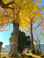 天神社のその他建物