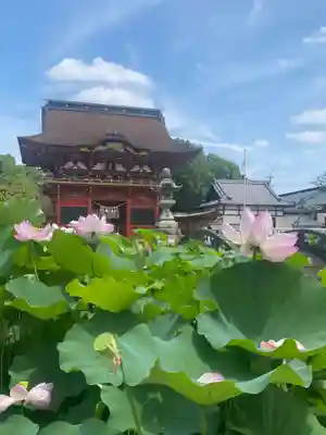 伊賀八幡宮(愛知県)