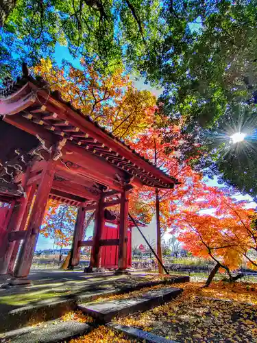 鞆江神社（明地）の山門