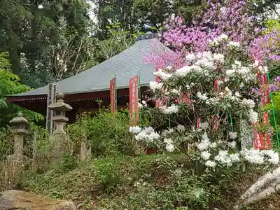 徳蔵寺(茨城県)