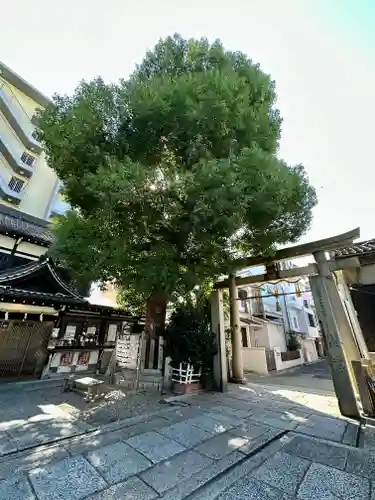 比賣許曾神社の鳥居