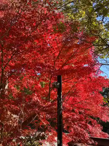 鎌倉宮(神奈川県)