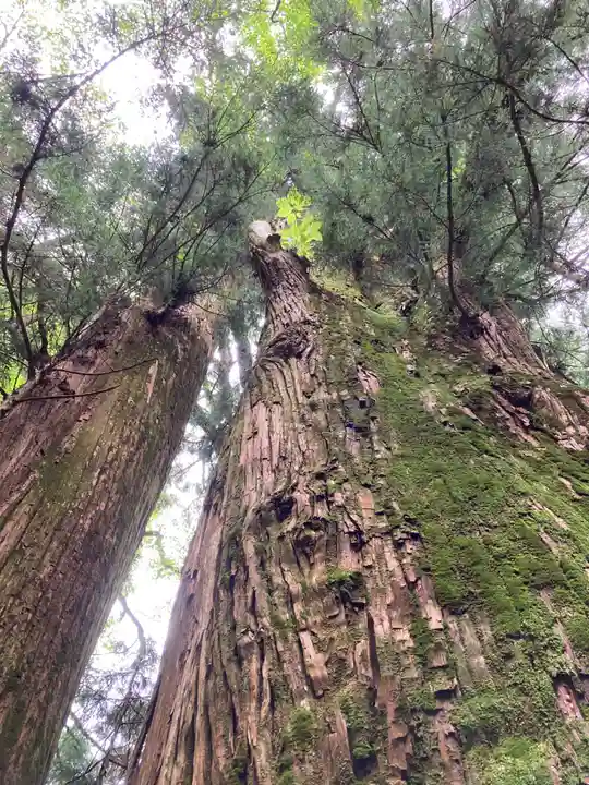 瀧尾神社(日光二荒山神社別宮)(栃木県)