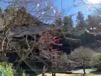 妙本寺(神奈川県)