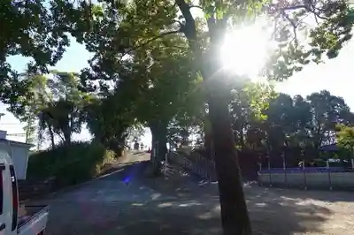 棚倉孫神社の周辺