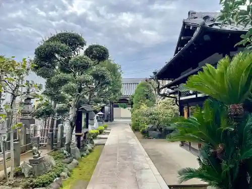 大泉寺(東京都)