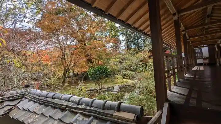 十輪寺(京都府)