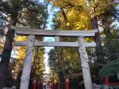 馬橋稲荷神社の鳥居