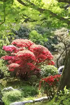 正傳（正伝）永源院(京都府)