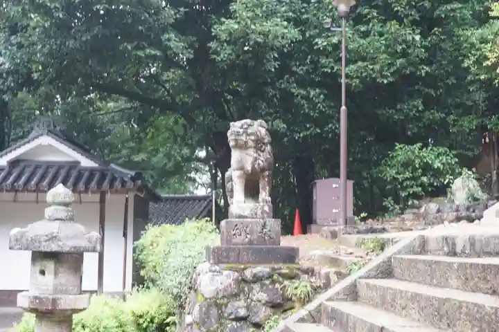 宇治上神社の狛犬