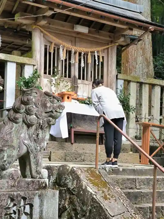 天鷹神社(岐阜県)