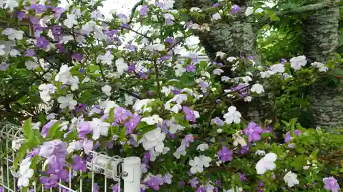 浄土寺(愛媛県)