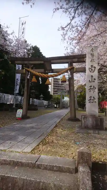 白山神社の鳥居