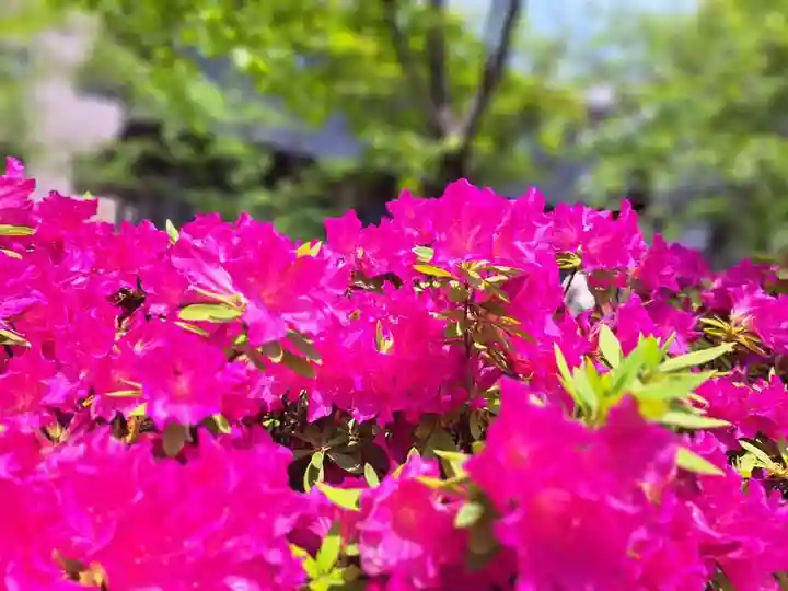 安井金比羅宮(京都府)