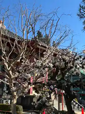 放生寺(東京都)