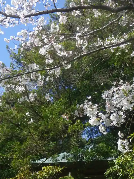 浄光明寺の自然