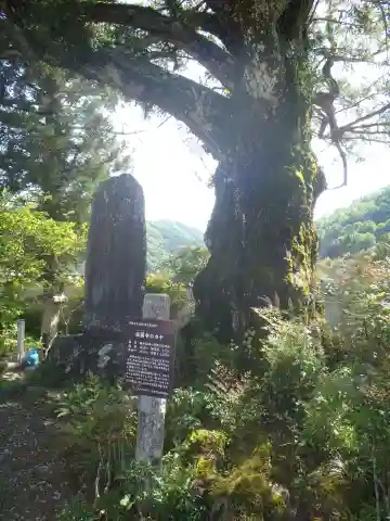 楽円寺(愛知県)