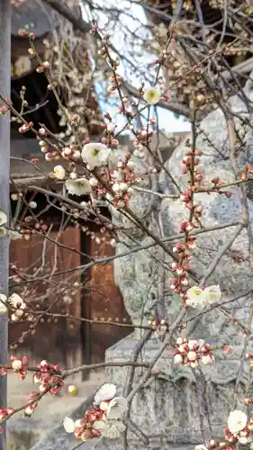 北野天満宮(京都府)