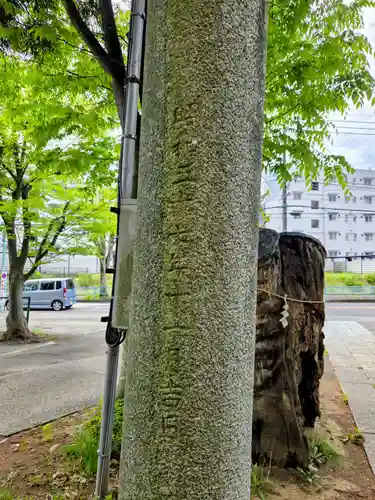 杉山神社(東京都)