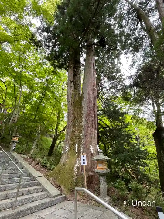 談山神社(奈良県)