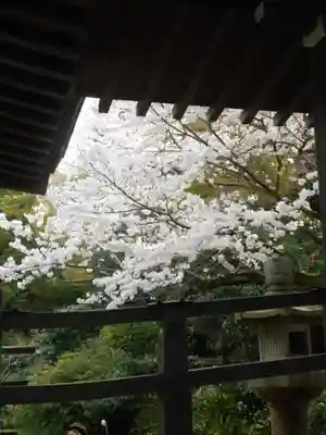 光明寺(神奈川県)