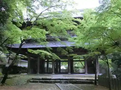 永源寺の山門・神門