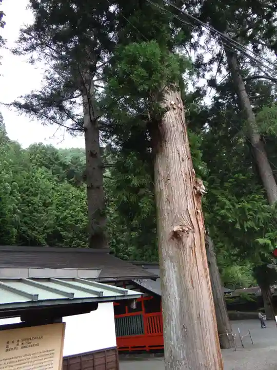鎮神社(長野県)