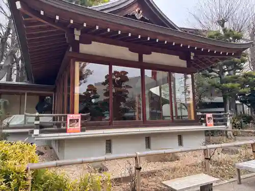鳩森八幡神社の神楽