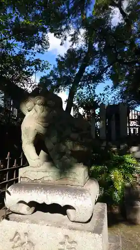 築地神社の狛犬