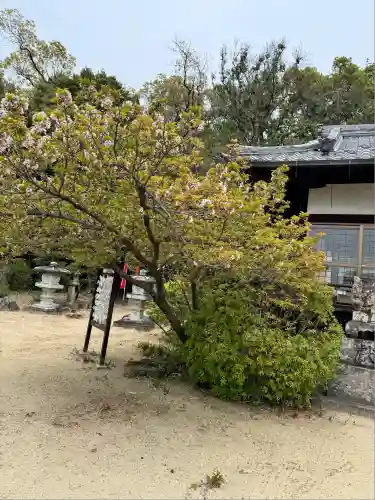 小泉神社(奈良県)