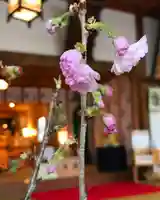 高司神社〜むすびの神の鎮まる社〜(福島県)