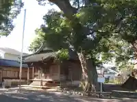 稲荷神社(村松原)(静岡県)