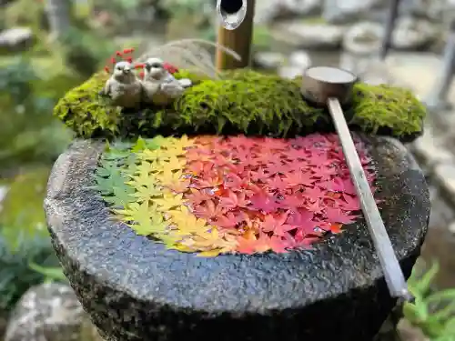 柳谷観音　楊谷寺(京都府)