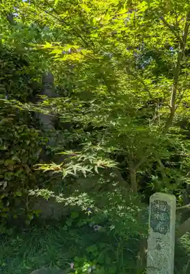 法雲寺(大阪府)