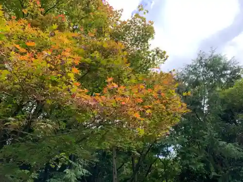 若狭神宮寺の自然