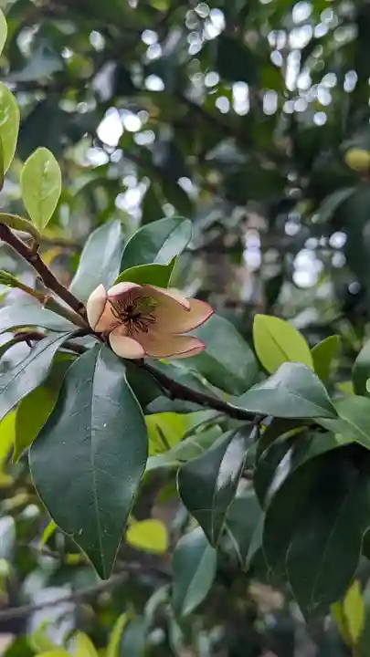 行願寺(革堂)(京都府)