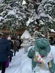 求聞寺の狛犬