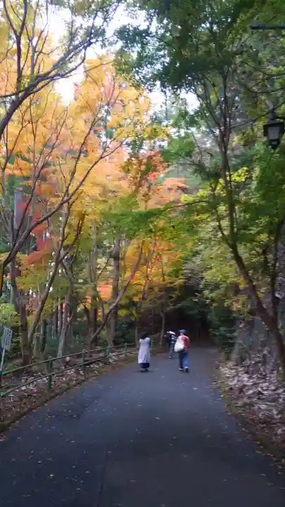 鳳来山東照宮の自然