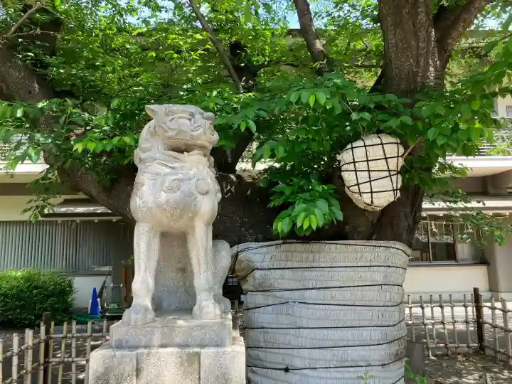 旗岡八幡神社の{uncategorized: "未分類", other: "その他", undefined: "問題あり", building: "その他建物", grave: "お墓", sacred_gate: "鳥居", guardian: "狛犬", statue: "像", buddha: "仏像", history: "歴史", nature: "自然", garden: "庭園", animal: "動物", pagoda: "塔", temizu: "手水舎", mountain_gate: "山門・神門", sanctuary: "本殿・本堂", subordinate: "末社・摂社", art: "芸術", scenery: "景色", jizo: "地蔵", ema: "絵馬", goshuin: "御朱印", omikuji: "おみくじ", items: "授与品その他", amulet: "お守り", goshuincho: "御朱印帳", eats: "食事", festival: "お祭り", votive_dance: "神楽", shichigosan: "七五三参", wedding: "結婚式", experience: "体験その他", initially: "初詣", around: "周辺", anti_infection: "感染症対策"}