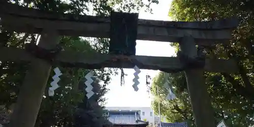 大井神社の鳥居