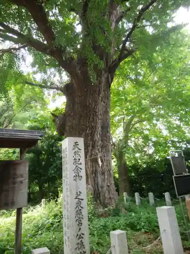 芝東照宮(東京都)