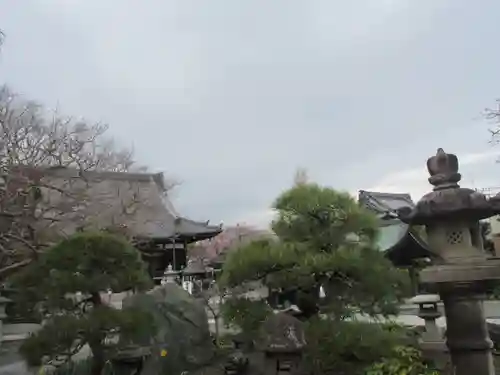 本覚寺の庭園